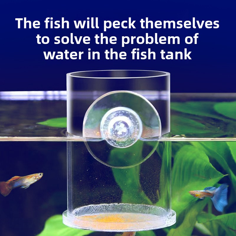 AC-Fish อะคริลิคแหวนให้อาหารปล - Baby Food Net Feeder บทวิจารณ์และราคา